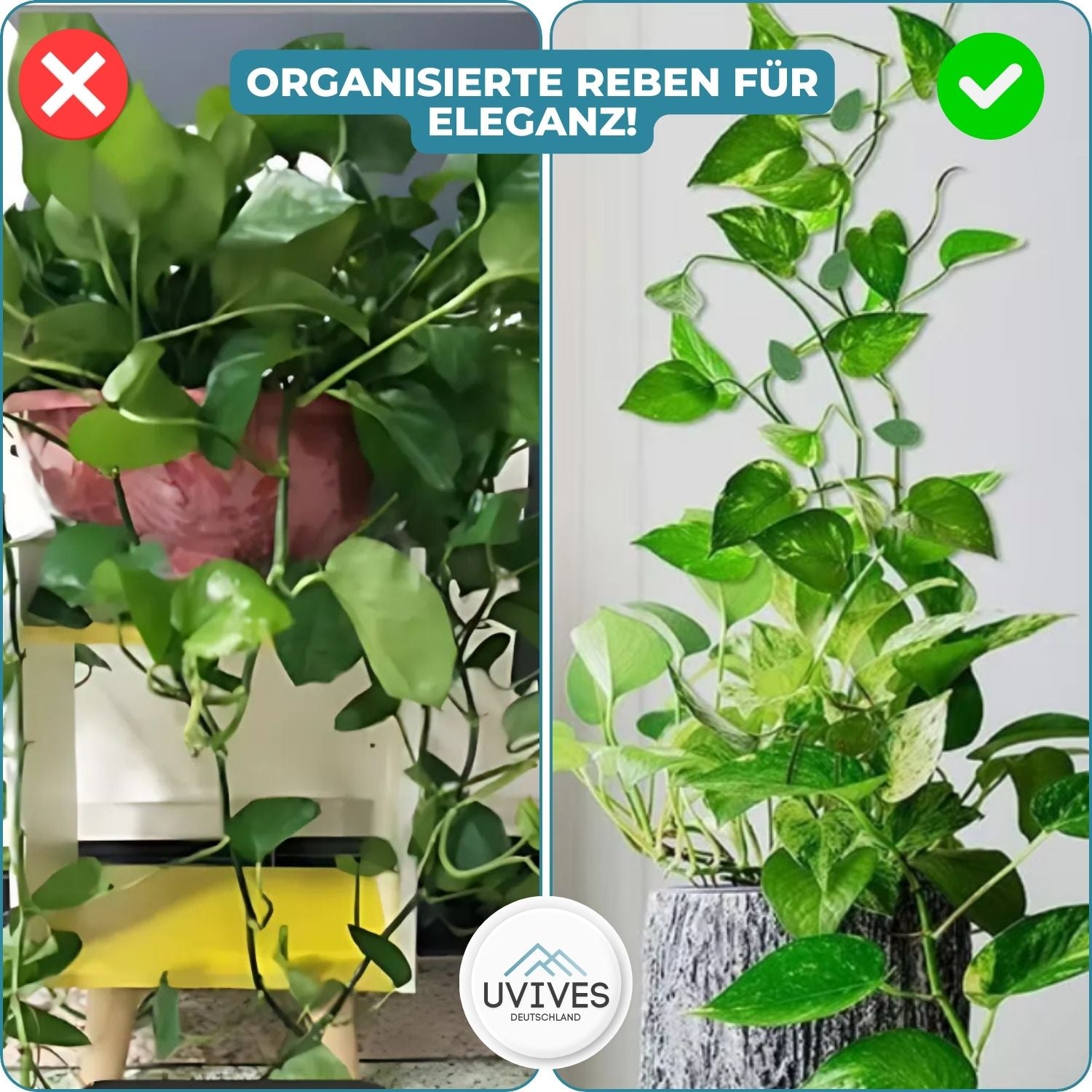 10+10 GRATIS | GrowGrip™ - Pflanzenbefestigungsklammern