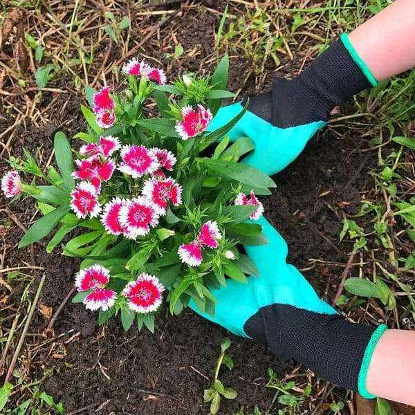 PlanterGlove - Gartenhandschuhe mit Krallen